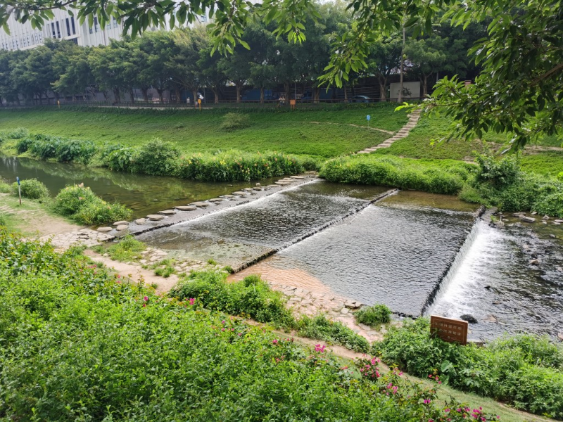 沙湾河碧道.png