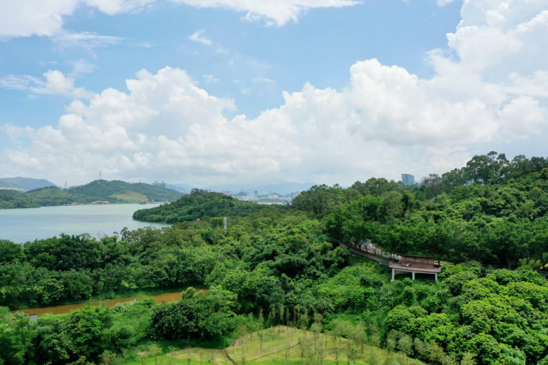 深圳水库（淘金山二线巡逻路）碧道.png