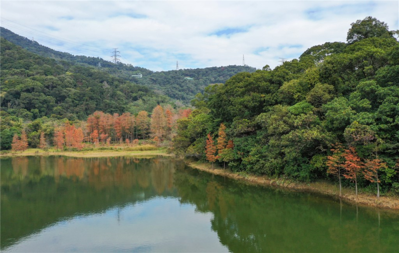 恩上水库碧道.png