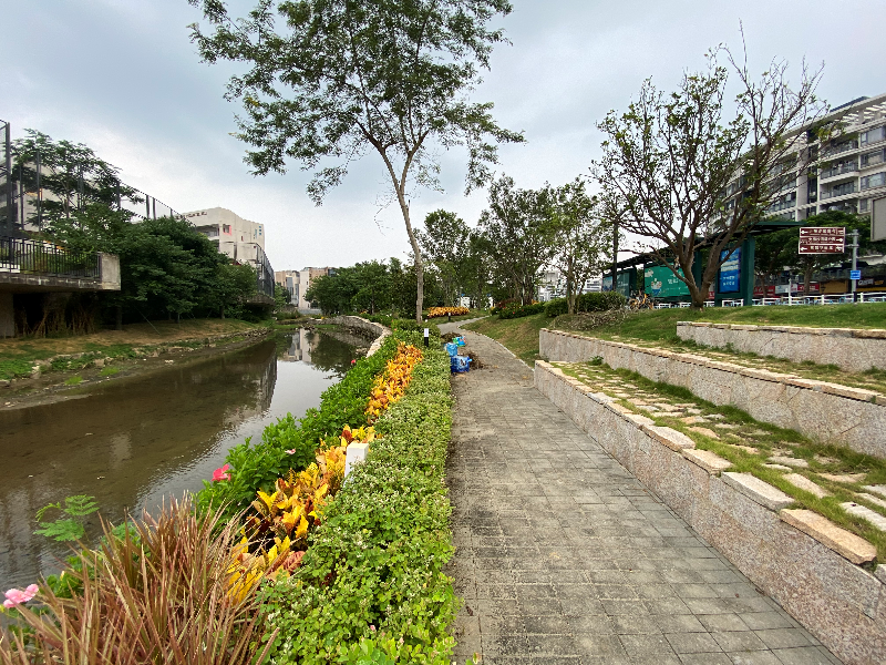 大梅沙河碧道.png