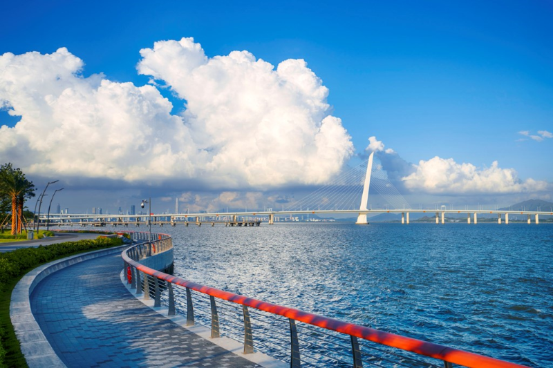 深圳湾岸线碧道.png