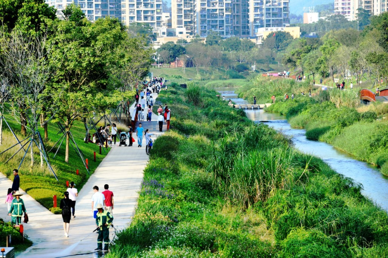 大沙河碧道.png