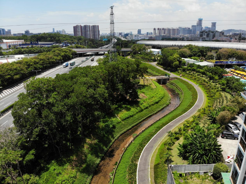 龙井河碧道.png