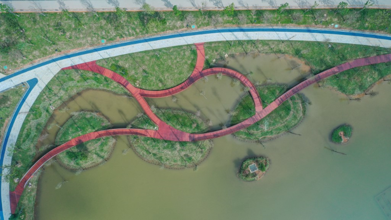 定岗湖湿地碧道.png