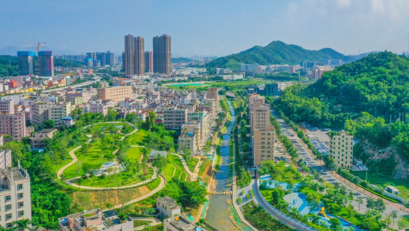 梧桐山河试点段碧道.png
