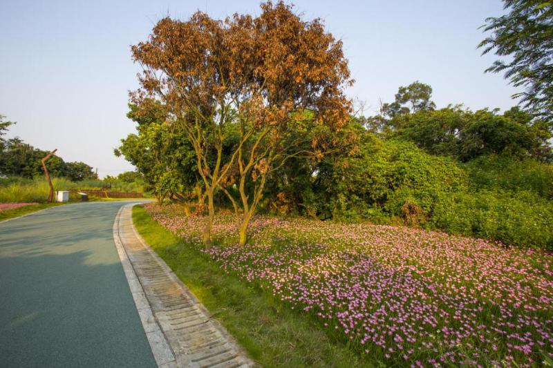 环大水坑水库碧道.png