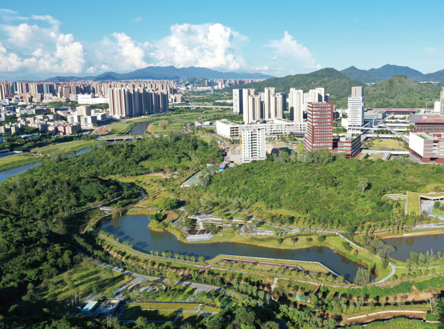 横塘海绵碧道.png