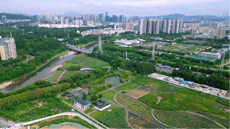 ▲观澜河湿地公园.png